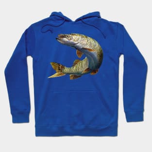 Pike Hoodie